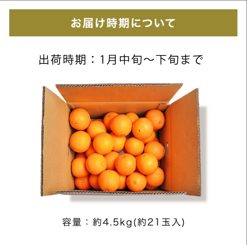 2026ǯ ��ͽ�󳫻�<br>�²λ������͡��֥� ����� �������� ��4.5kg ����21�̡�<br>2L��3L�������ν���<br>����̵��(�̳�ƻ����������)<br>�������ǰ¿����Ƥ������夬��ĺ����͡��֥� ��� ���ե�