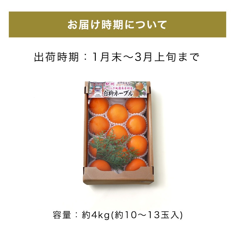 ��ͽ�󳫻�<br>�²λ������͡��֥� ����� ��� ���ե��� ��4kg<br>����̵�����̳�ƻ������������<br>�����仺��ð����������ҡפ����դ��Υ͡��֥륪��� ��ˤ� �ý��ʡ�2023ǯ1��ܰʹߤν缡�в�