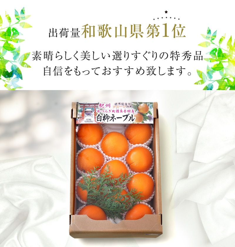 ��ͽ�󳫻�<br>�²λ������͡��֥� ����� ��� ���ե��� ��4kg<br>����̵�����̳�ƻ������������<br>�����仺��ð����������ҡפ����դ��Υ͡��֥륪��� ��ˤ� �ý��ʡ�2023ǯ1��ܰʹߤν缡�в�