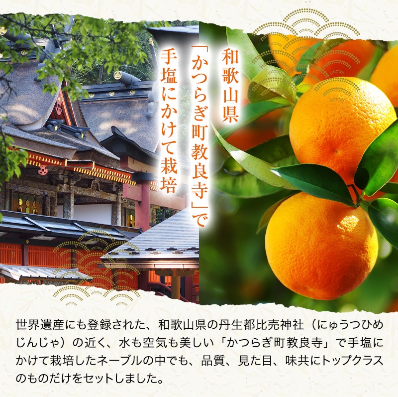 ��ͽ�󳫻�<br>�²λ������͡��֥� ����� ��� ���ե��� ��4kg<br>����̵�����̳�ƻ������������<br>�����仺��ð����������ҡפ����դ��Υ͡��֥륪��� ��ˤ� �ý��ʡ�2023ǯ1��ܰʹߤν缡�в�