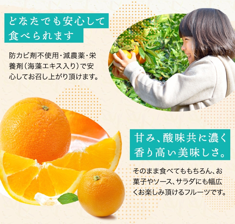 ��ͽ�󳫻�<br>�²λ������͡��֥� ����� ��� ���ե��� ��4kg<br>����̵�����̳�ƻ������������<br>�����仺��ð����������ҡפ����դ��Υ͡��֥륪��� ��ˤ� �ý��ʡ�2023ǯ1��ܰʹߤν缡�в�