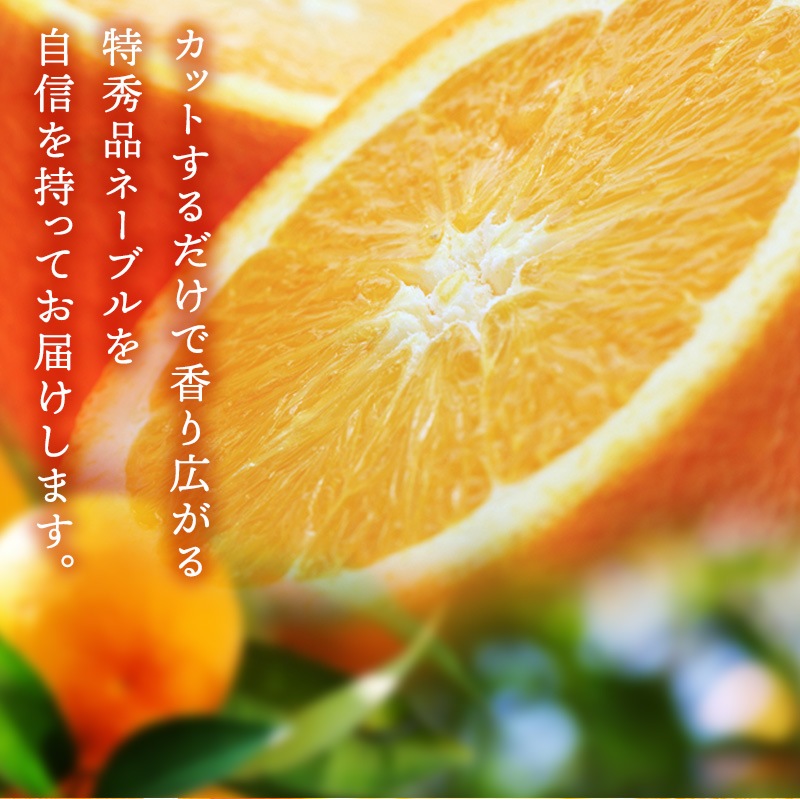 ��ͽ�󳫻�<br>�²λ������͡��֥� ����� ��� ���ե��� ��4kg<br>����̵�����̳�ƻ������������<br>�����仺��ð����������ҡפ����դ��Υ͡��֥륪��� ��ˤ� �ý��ʡ�2023ǯ1��ܰʹߤν缡�в�