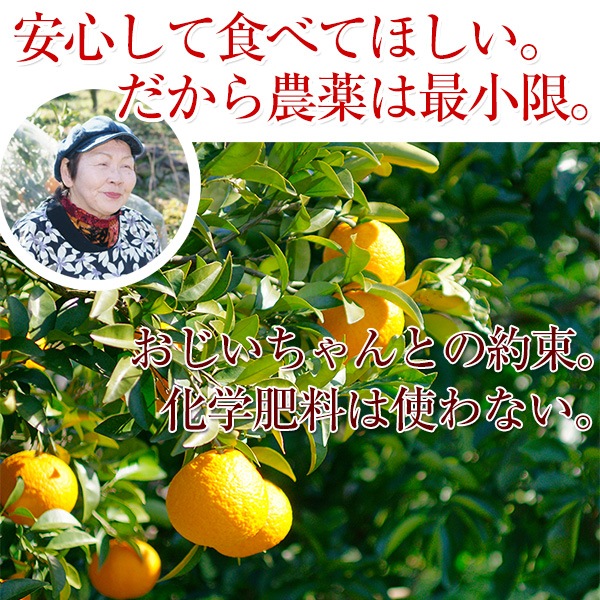 òλ4,320ߡ2026ǯ ͽ󳫻 ²λȬʥϥå5kg <br>ͭ  M2L <br>ʤʴŤߡ褤̣äζߤ̣Ϥä <br>̵̳ƻ2026ǯ1ܰʹߤν缡в١