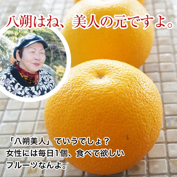 òλ4,320ߡ2026ǯ ͽ󳫻 ²λȬʥϥå5kg <br>ͭ  M2L <br>ʤʴŤߡ褤̣äζߤ̣Ϥä <br>̵̳ƻ2026ǯ1ܰʹߤν缡в١