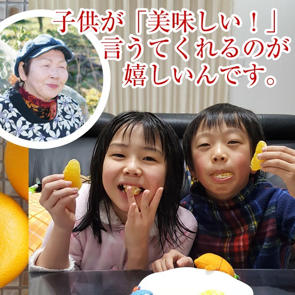 òλ4,320ߡ2026ǯ ͽ󳫻 ²λȬʥϥå5kg <br>ͭ  M2L <br>ʤʴŤߡ褤̣äζߤ̣Ϥä <br>̵̳ƻ2026ǯ1ܰʹߤν缡в١