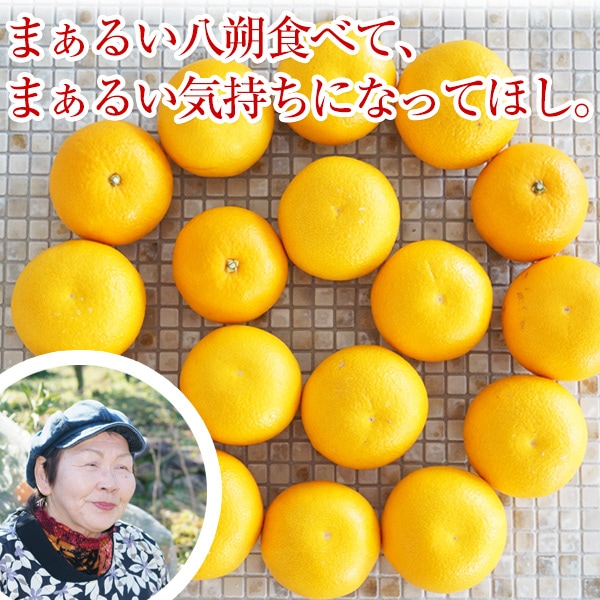 òλ4,320ߡ2026ǯ ͽ󳫻 ²λȬʥϥå5kg <br>ͭ  M2L <br>ʤʴŤߡ褤̣äζߤ̣Ϥä <br>̵̳ƻ2026ǯ1ܰʹߤν缡в١