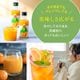 ���ե� �ץ쥼��� �����ߤ��󥸥塼�� 100�󥹥ȥ졼�Ȳ̽� ����10��<br>����̵�����̳�ƻ���������