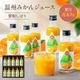 ���ե� �ץ쥼��� �����ߤ��󥸥塼�� 100�󥹥ȥ졼�Ȳ̽� ����10��<br>����̵�����̳�ƻ���������