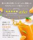���ե� �ץ쥼��� �����ߤ��󥸥塼�� 100�󥹥ȥ졼�Ȳ̽� ����10��<br>����̵�����̳�ƻ���������