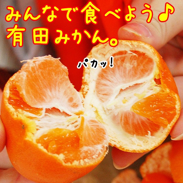 2025ǯ ��ͽ�󳫻�<br> �ߤ��� ������ �����ߤ���<br> ����²λ��� ͭ�Ĥߤ���ʲ����ߥ����10kg ���Ӥߤ��󥵥���<br>����̵�������̳�ƻ����������<br><br>��̣����ͭ�Ĥߤ���򾤤��夬�ä�ĺ���������顪��Ʊ���ԲĤǤ�