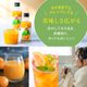 ���ե� �ץ쥼��� �����ߤ��󥸥塼�� 100�󥹥ȥ졼�Ȳ̽� ����6��<br>����̵�����̳�ƻ��������� kr