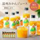 ���ե� �ץ쥼��� �����ߤ��󥸥塼�� 100�󥹥ȥ졼�Ȳ̽� ����6��<br>����̵�����̳�ƻ��������� kr