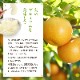 2025ǯ ��ͽ�󳫻� ����13��14�١�ǻ���Ť��������Υץ�ߥ�����������դ��̽��δŤ��ʤ��򤴾�̣�������� ����̣�� ���ʤʤ��� Ļ�踩�� �������ʤ��󤫤󤻤�� ��5kg 16��18�� <br>�Ťߤ��äפ������ꥷ�㥭���㥭�ο��ʼ�<br>����̵��