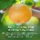 2025ǯ ��ͽ�󳫻� ����13��14�١�ǻ���Ť��������Υץ�ߥ�����������դ��̽��δŤ��ʤ��򤴾�̣�������� ����̣�� ���ʤʤ��� Ļ�踩�� �������ʤ��󤫤󤻤�� ��5kg 16��18�� <br>�Ťߤ��äפ������ꥷ�㥭���㥭�ο��ʼ�<br>����̵��