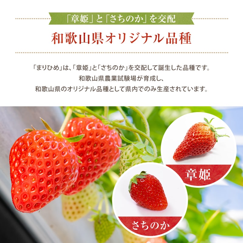 �²λ����� �ޤ�Ҥ���� ���त����1kg ��500g��2�ޡ�<br> ������������̵�����̳�ƻ������������ ̵ź�� �����ꤤ���� <br> ����9�ٰʾ� �����ࡼ���� ���������������꡼�� ����������� �������Ǽ��� ���äפ� ��̳�� ����̼� �ե������� ���ȥ��٥�