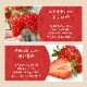 �²λ����� �ޤ�Ҥ���� ���त����1kg ��500g��2�ޡ�<br> ������������̵�����̳�ƻ������������ ̵ź�� �����ꤤ���� <br> ����9�ٰʾ� �����ࡼ���� ���������������꡼�� ����������� �������Ǽ��� ���äפ� ��̳�� ����̼� �ե������� ���ȥ��٥�