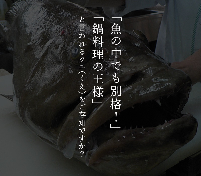 ��β��� ŷ�������饻�åȡʤ������500g�ʥ��顢�� ��250g��<br>��3���� �����椺�ݥ��2�ܡ���ñ��쥷���� <br>����̵�����̳�ƻ���������