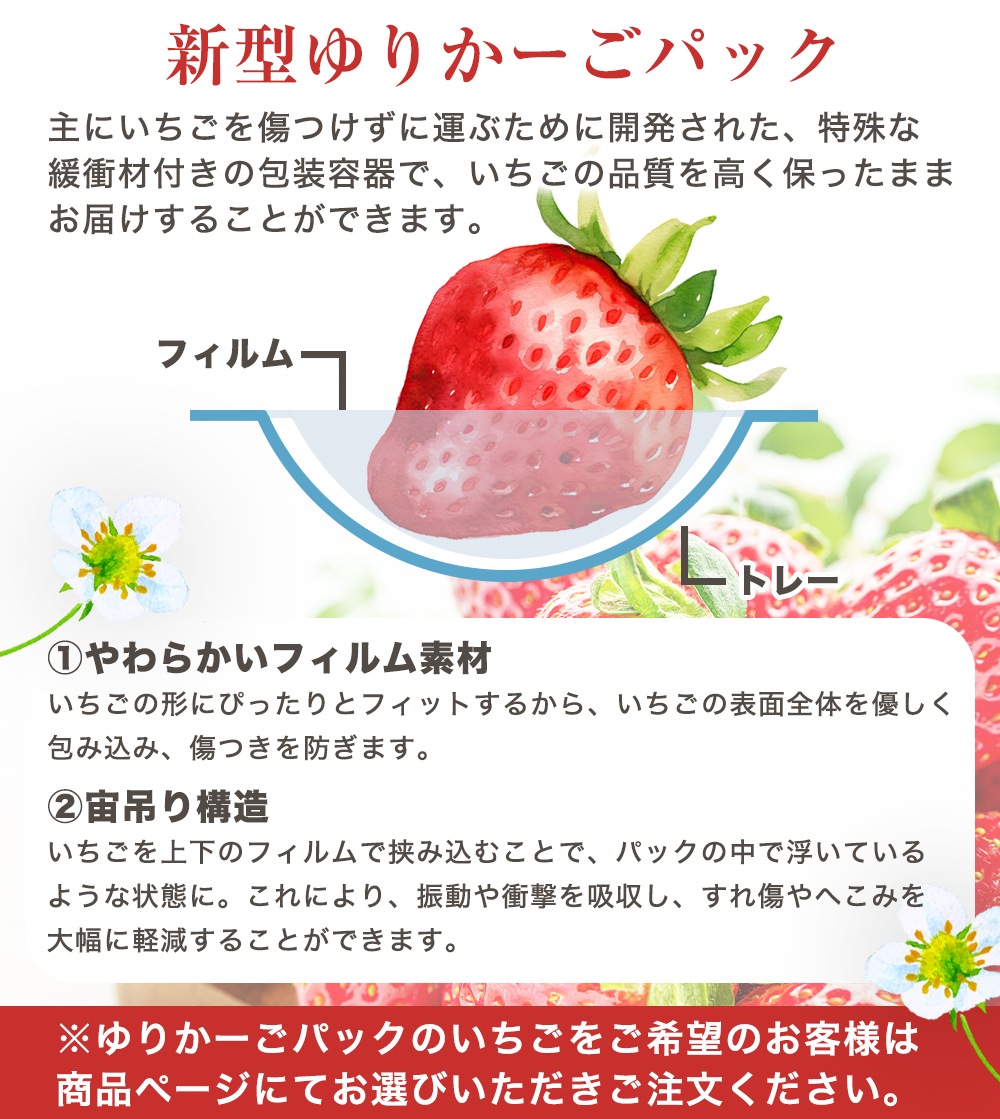 2025ǯ ��ͽ������� �²λ�����̣����������������<br>�ޤ�Ҥ�3��4L��������8γ��12γ���ˡ�2�ѥå����å�<br>������������̵�����̳�ƻ��������� �вٻ����ˤ��γ���礭�����ۤʤ�ޤ���3L�ξ���γ����¿�����Ƥ������פ��ޤ���