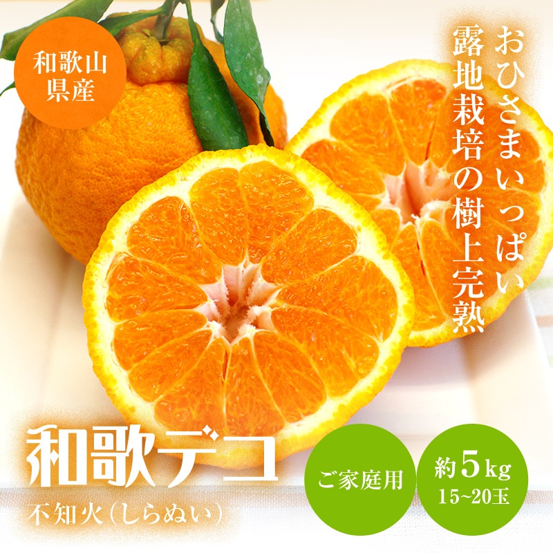 2026ǯ ��ͽ�󳫻� �������� ���βСʤ���̤��˥ǥ��ݥ���5kg����15-20�̡�<br>��������·����¿���ν�ͭ��<br>����̵�����̳�ƻ�����������2��ܰʹߤ�ȯ����