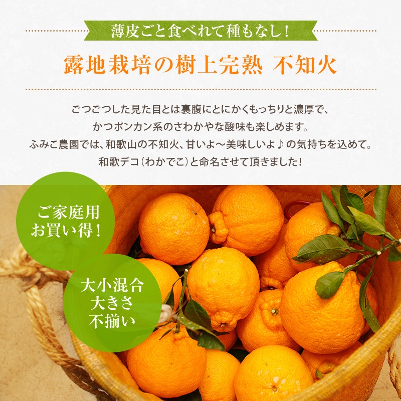 2026ǯ ��ͽ�󳫻� �������� ���βСʤ���̤��˥ǥ��ݥ���5kg����15-20�̡�<br>��������·����¿���ν�ͭ��<br>����̵�����̳�ƻ�����������2��ܰʹߤ�ȯ����