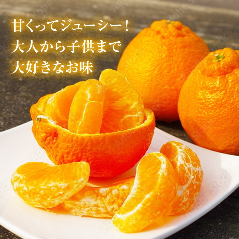 2026ǯ ��ͽ�󳫻� �������� ���βСʤ���̤��˥ǥ��ݥ���5kg����15-20�̡�<br>��������·����¿���ν�ͭ��<br>����̵�����̳�ƻ�����������2��ܰʹߤ�ȯ����