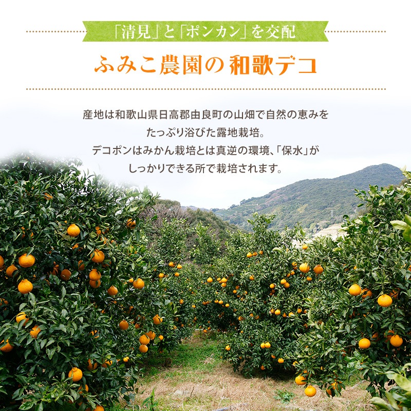 2026ǯ ��ͽ�󳫻� �������� ���βСʤ���̤��˥ǥ��ݥ���5kg����15-20�̡�<br>��������·����¿���ν�ͭ��<br>����̵�����̳�ƻ�����������2��ܰʹߤ�ȯ����