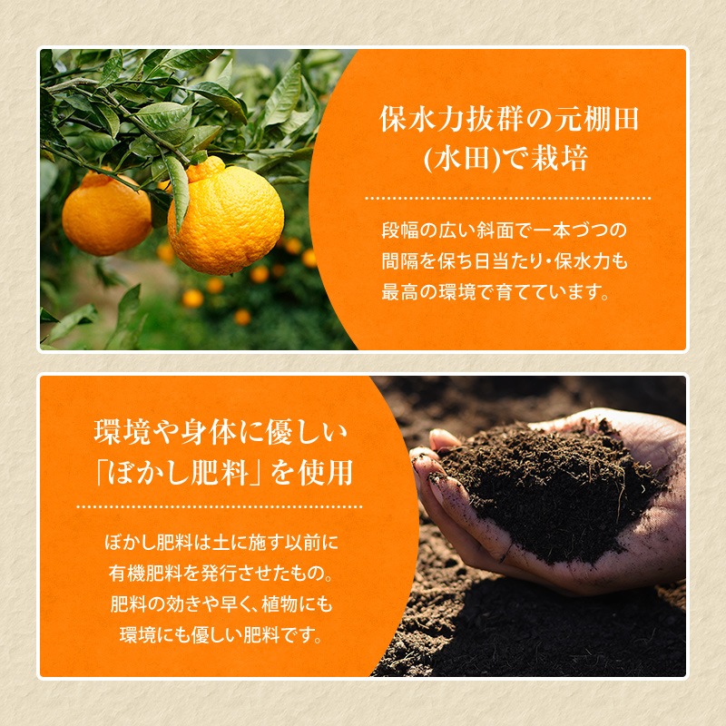 2026ǯ ��ͽ�󳫻� �������� ���βСʤ���̤��˥ǥ��ݥ���5kg����15-20�̡�<br>��������·����¿���ν�ͭ��<br>����̵�����̳�ƻ�����������2��ܰʹߤ�ȯ����