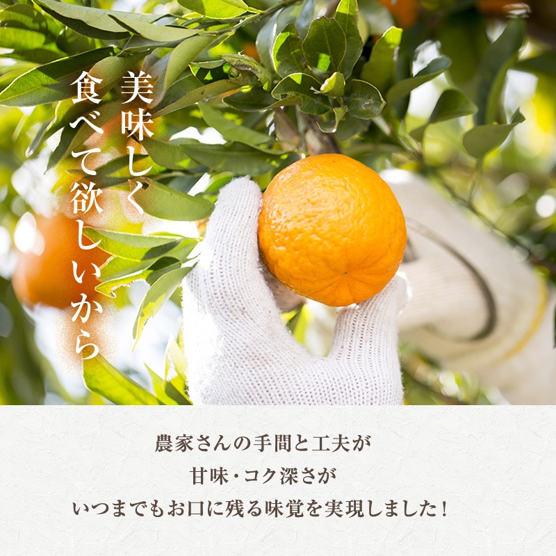 2026ǯ ��ͽ�󳫻� �������� ���βСʤ���̤��˥ǥ��ݥ���5kg����15-20�̡�<br>��������·����¿���ν�ͭ��<br>����̵�����̳�ƻ�����������2��ܰʹߤ�ȯ����