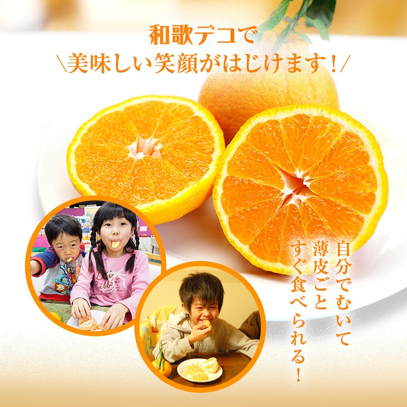 2026ǯ ��ͽ�󳫻� �������� ���βСʤ���̤��˥ǥ��ݥ���5kg����15-20�̡�<br>��������·����¿���ν�ͭ��<br>����̵�����̳�ƻ�����������2��ܰʹߤ�ȯ����