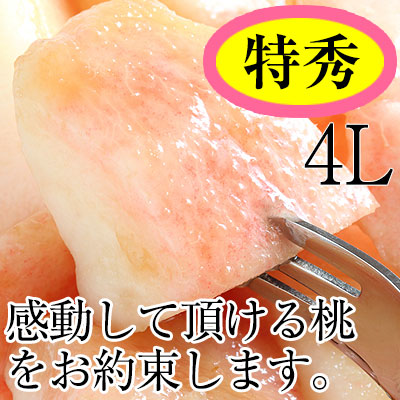 ��ͽ�󳫻�<br>�²λ�������������� 13����(��4kg)<br>3�̡�4�̥��������ý��ʡ�<br>���������ݤ�����¿��������ߤ��ߤ�����ǻ���ʴŤߤ���̣����������ľ����