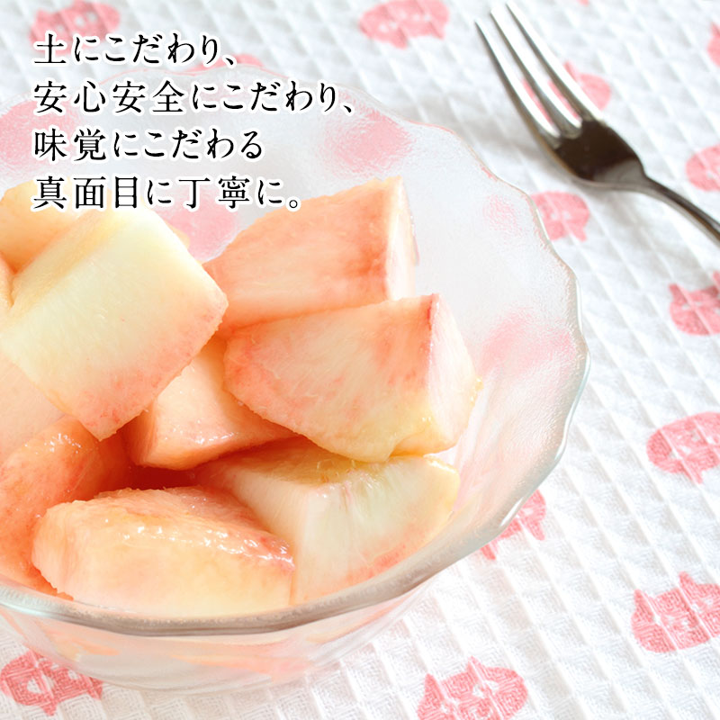 ��ͽ�󳫻�<br>�²λ�������������� 13����(��4kg)<br>3�̡�4�̥��������ý��ʡ�<br>���������ݤ�����¿��������ߤ��ߤ�����ǻ���ʴŤߤ���̣����������ľ����