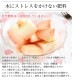 ��ͽ�󳫻�<br>�²λ�������������� 13����(��4kg)<br>3�̡�4�̥��������ý��ʡ�<br>���������ݤ�����¿��������ߤ��ߤ�����ǻ���ʴŤߤ���̣����������ľ����