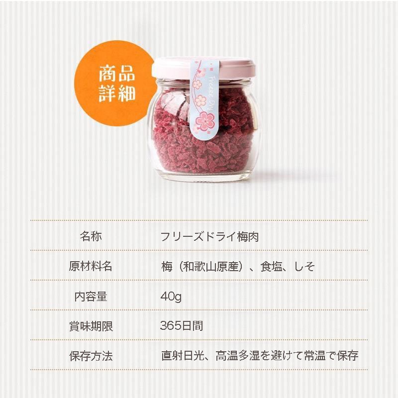 �ߤΥե꡼���ɥ饤 40g����������� �������� ��100��դ꤫��<br>5,400�߰ʾ������̵�����̳�ƻ���������