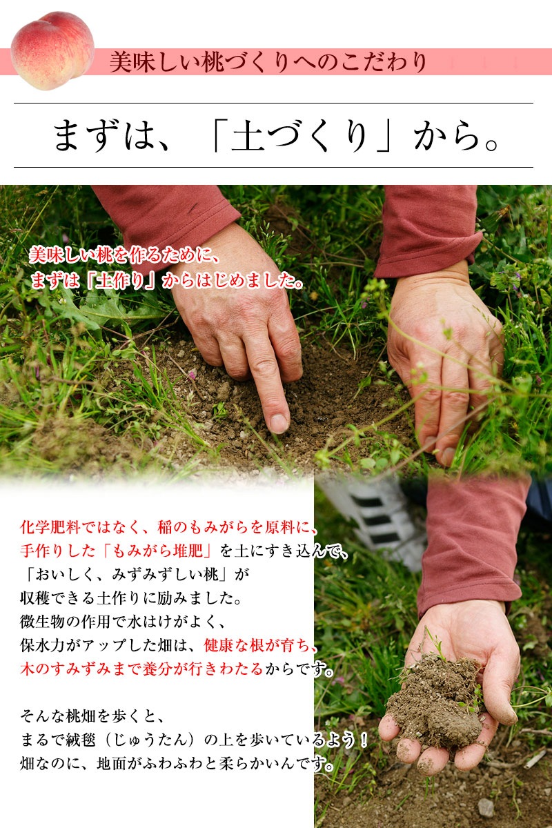 2025ǯ ͽ<br>²λ 78(2kg)<br>3̥ýʡ<br>ݤ¿ߤߤǻʴŤߤ̣ľ̵