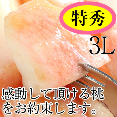 2025ǯ ͽ<br>²λ 78(2kg)<br>3̥ýʡ<br>ݤ¿ߤߤǻʴŤߤ̣ľ̵