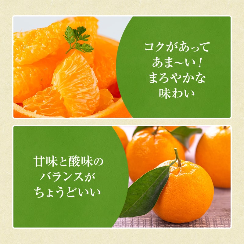 2026ǯ ��ͽ�󳫻�<br>�²λ����� �ڽϥݥ󥫥�<br> L��2L������ 30��36���� ��5kg ����̵��<br> ����Ǵ��Ϥ������Ť��ݤ󤫤󡣿����ʤޤ����դ��Ǥ��Ϥ��פ��ޤ����ߤ���Τ褦�˼�Ǥऱ�ޤ�