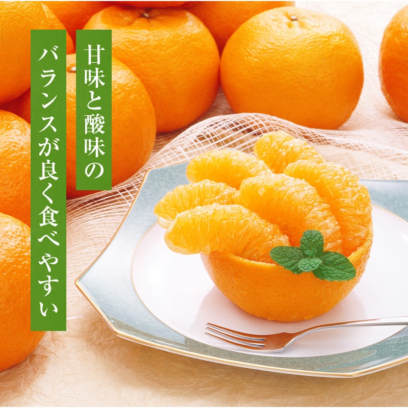 2026ǯ ��ͽ�󳫻�<br>�²λ����� �ڽϥݥ󥫥�<br> L��2L������ 30��36���� ��5kg ����̵��<br> ����Ǵ��Ϥ������Ť��ݤ󤫤󡣿����ʤޤ����դ��Ǥ��Ϥ��פ��ޤ����ߤ���Τ褦�˼�Ǥऱ�ޤ�