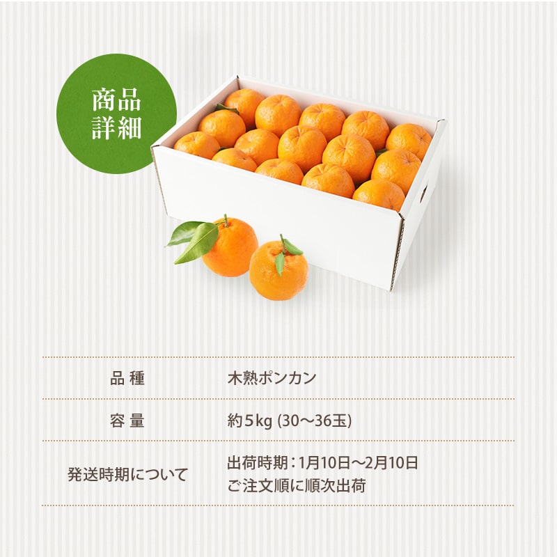 2026ǯ ��ͽ�󳫻�<br>�²λ����� �ڽϥݥ󥫥�<br> L��2L������ 30��36���� ��5kg ����̵��<br> ����Ǵ��Ϥ������Ť��ݤ󤫤󡣿����ʤޤ����դ��Ǥ��Ϥ��פ��ޤ����ߤ���Τ褦�˼�Ǥऱ�ޤ�