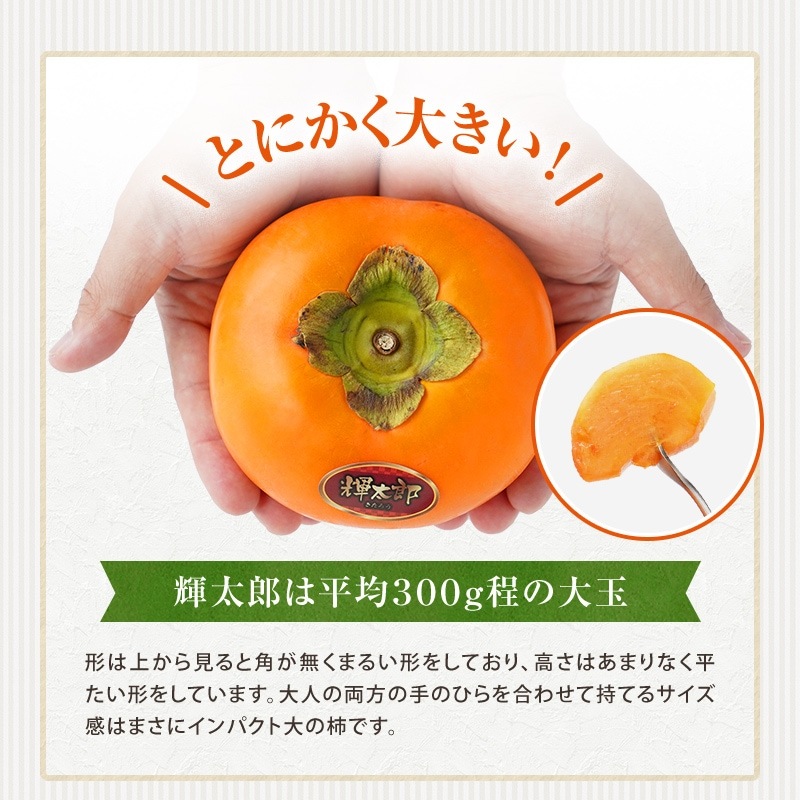 2025ǯ��ͽ�󳫻� �Ȥˤ����Ť����礭������<br> ����Ϻ���ʤ������� ������  7�̡�10�� or 11��〜12�̡���3kg��<br>����̵�� ���渵 ���ե� �ץ쥼��� �� �̼�<br>���ϻ����˽缡ȯ��