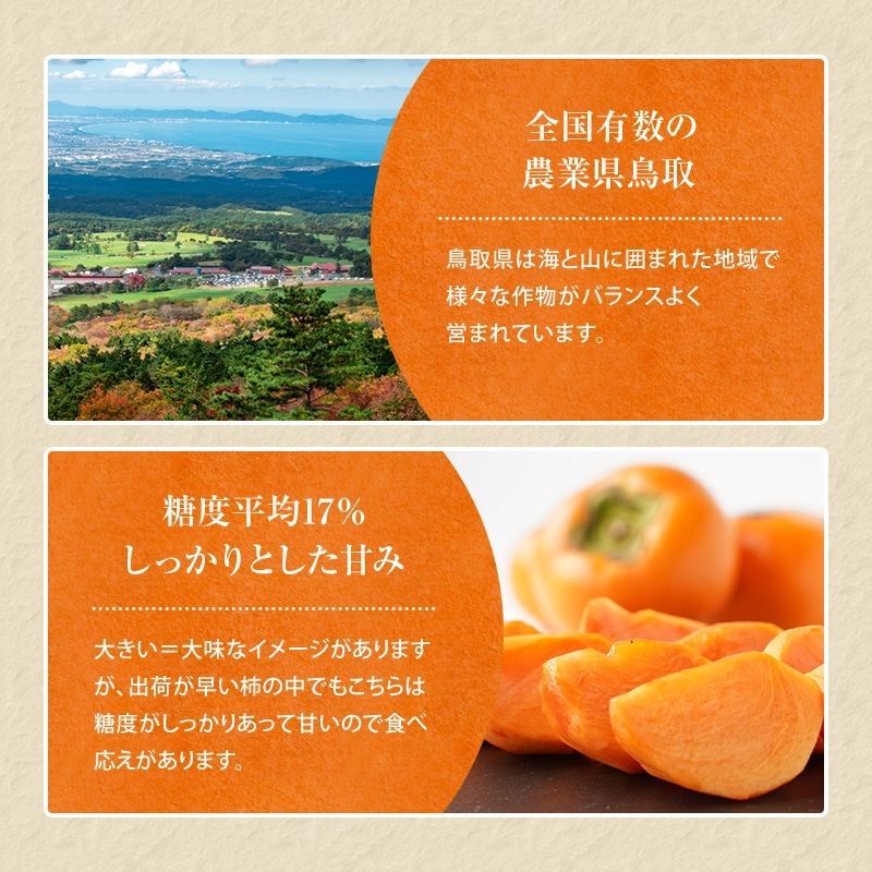 2025ǯ��ͽ�󳫻� �Ȥˤ����Ť����礭������<br> ����Ϻ���ʤ������� ������  7�̡�10�� or 11��〜12�̡���3kg��<br>����̵�� ���渵 ���ե� �ץ쥼��� �� �̼�<br>���ϻ����˽缡ȯ��