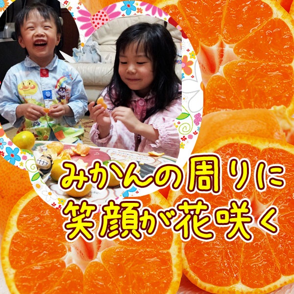 2025ǯ ͽ󳫻<br>Ӥߤ  ߤ<br>²λ ͭĤߤʲߥ2.5kg<br><br>2Ȣ̵̳ƻ5kgޤȤ<br>