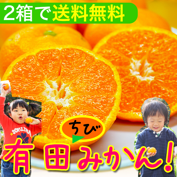 2025ǯ ͽ󳫻<br>Ӥߤ  ߤ<br>²λ ͭĤߤʲߥ2.5kg<br><br>2Ȣ̵̳ƻ5kgޤȤ<br>