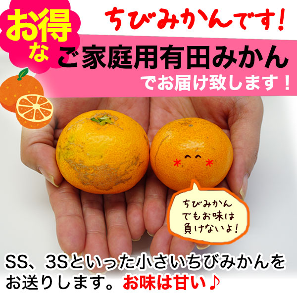 2025ǯ ͽ󳫻<br>Ӥߤ  ߤ<br>²λ ͭĤߤʲߥ2.5kg<br><br>2Ȣ̵̳ƻ5kgޤȤ<br>