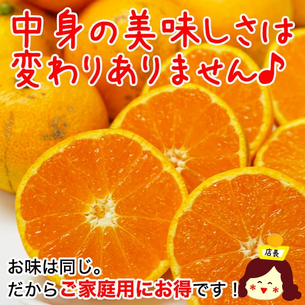 2025ǯ ͽ󳫻<br>Ӥߤ  ߤ<br>²λ ͭĤߤʲߥ2.5kg<br><br>2Ȣ̵̳ƻ5kgޤȤ<br>