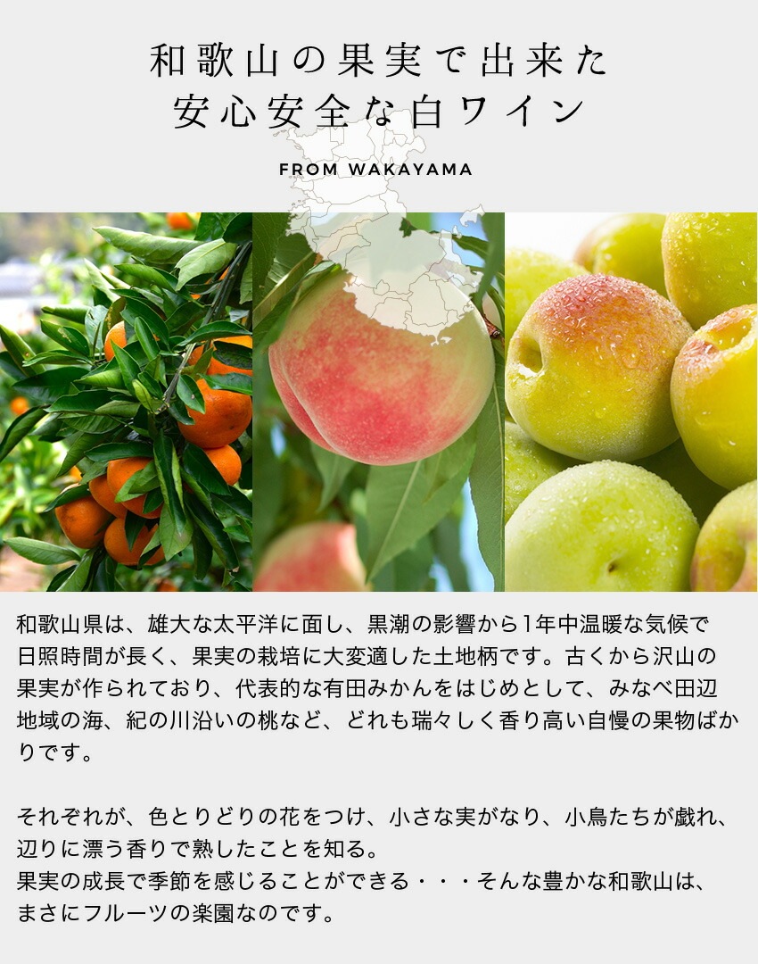 �²λ��ե롼�ĥ磻��3�ܥ��åȡʤߤ�����������ߡ˳�180ml Ȣ��<br>˧��ʥե롼�Ĥ���̣��ڤ���̼�������磻��<br>����̵�����̳�ƻ���������