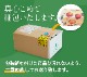 òλ6,800ߡ2025ǯ ͽ󳫻 㥤ޥå 1kgʾ (500g2˼<br>̵ۢϰ<br>ʤ餴ȿ٤̣֤ɤ<br>Ի Ѥˤ եȤˤ <br>ƺ ֥ɥ ֤ɤ ϥ ١ڼϻ8~9ܡ