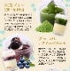 �ե롼�Ĥ��äפꡪ�ץ��ȥ쥢������������ �������ĥ��쥯����� 6������