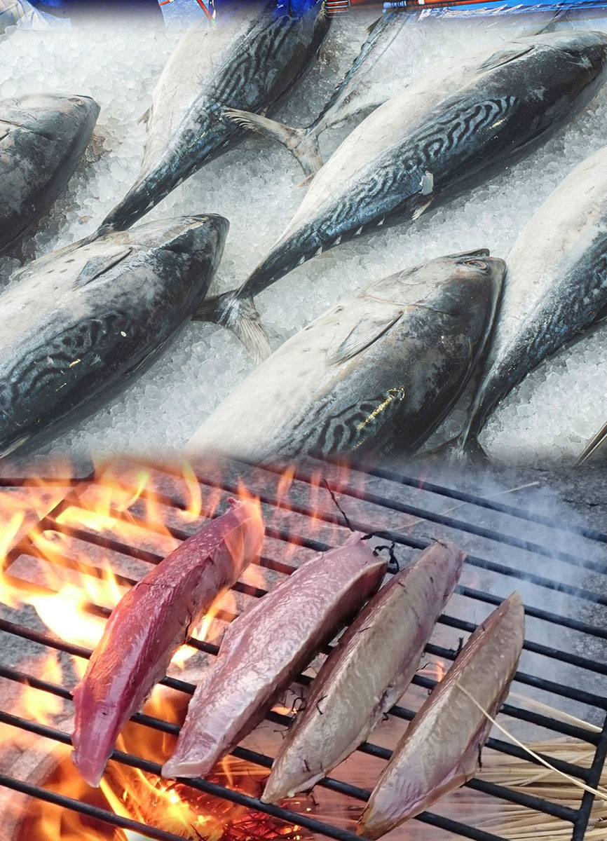 ����Į��¤ ��������ξƤ����勵����1kg 3���5���1��ŤĿ�������������5��Ʊ�� <br>����������̵���ʰ����ϰ������� ���Ĥ� ���ĥ� ������ ���Ƥ�