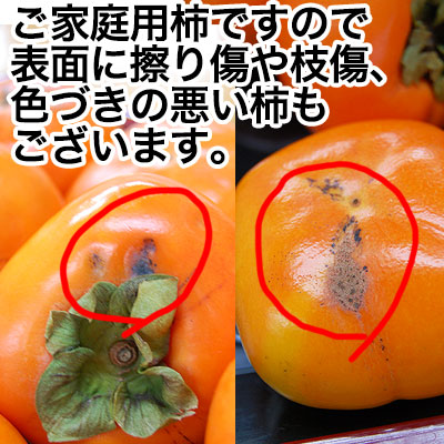 2025ǯ ͽ ²λΤͤʤ 2kg<br>ëʤʤˤ碌ˡẬʤȤͤ碌ˡʿ̵ʤҤ餿ͤʤ<br><br>2Ȣʾ̵̳ۢƻ<br>ѤμʤǤ²λ<br>ϻ˽缡ȯȤʤޤ