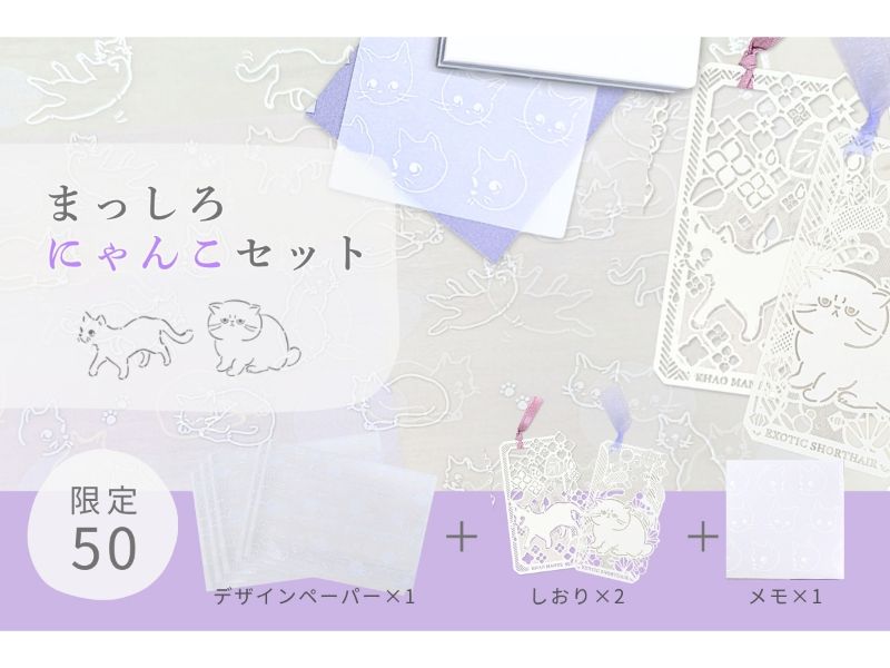 まっしろにゃんこセット
